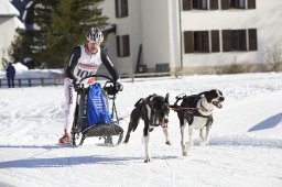 Spluegen 2014