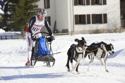 Spluegen 2014