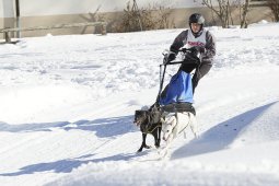 Spluegen 2014