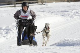 Spluegen 2014