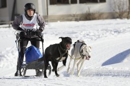 Spluegen 2014