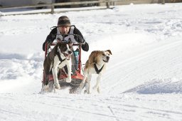 Spluegen 2014