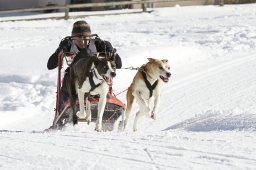 Spluegen 2014
