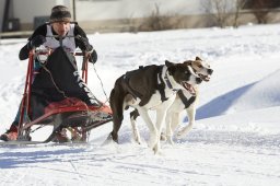 Spluegen 2014