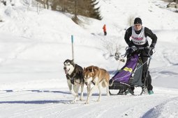 Spluegen 2014