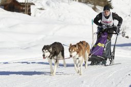 Spluegen 2014