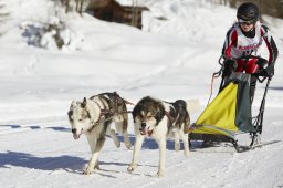 Spluegen 2014