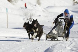 Spluegen 2014