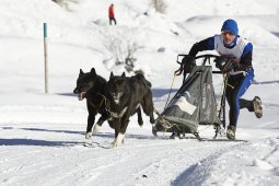 Spluegen 2014