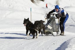 Spluegen 2014