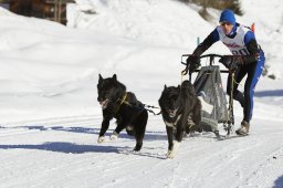 Spluegen 2014