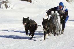 Spluegen 2014