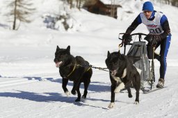 Spluegen 2014