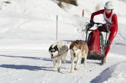 Spluegen 2014