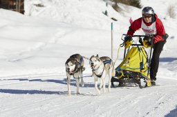Spluegen 2014