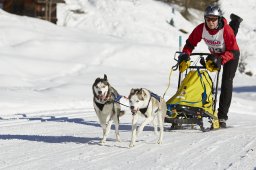 Spluegen 2014