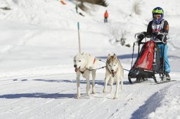 Spluegen 2014