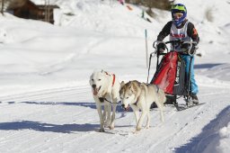 Spluegen 2014