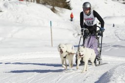 Spluegen 2014