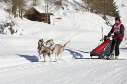 Spluegen 2014