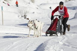 Spluegen 2014