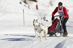 Spluegen 2014
