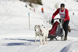 Spluegen 2014