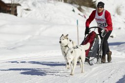 Spluegen 2014