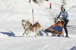 Spluegen 2014