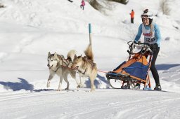Spluegen 2014