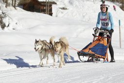 Spluegen 2014