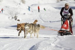 Spluegen 2014