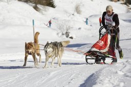 Spluegen 2014