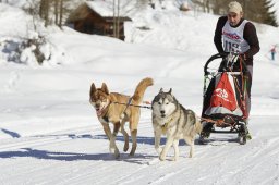 Spluegen 2014