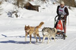 Spluegen 2014