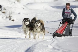Spluegen 2014