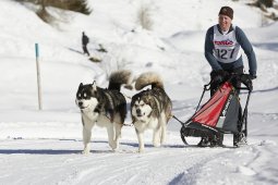 Spluegen 2014