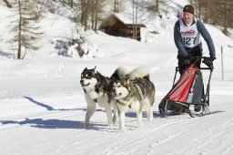 Spluegen 2014