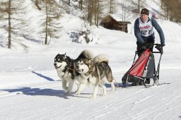 Spluegen 2014