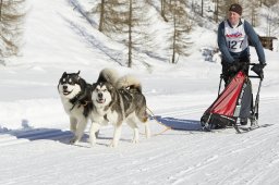 Spluegen 2014