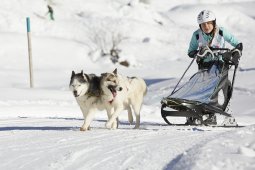 Spluegen 2014
