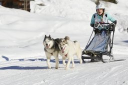 Spluegen 2014