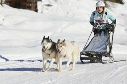Spluegen 2014