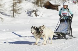 Spluegen 2014
