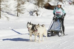 Spluegen 2014