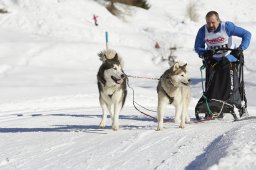 Spluegen 2014