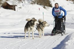 Spluegen 2014