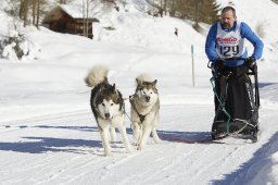 Spluegen 2014