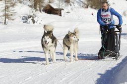 Spluegen 2014