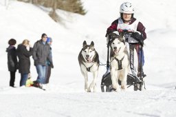 Spluegen 2014